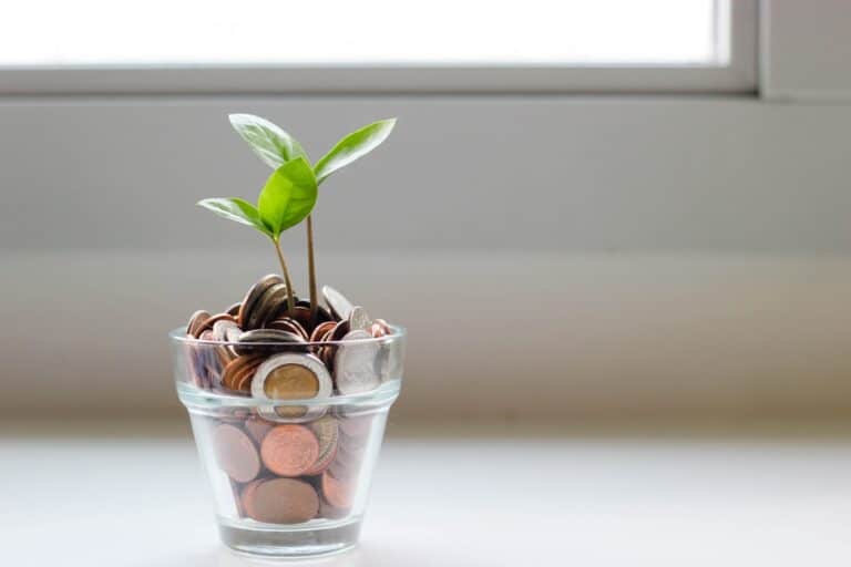 Vers qui se tourner pour une finance de projets agricoles