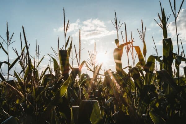 finance projets agricoles